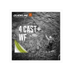 Guideline 4 Cast + WF