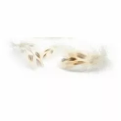 Fly-Dressing Mallard Duck Hen Breast Natural